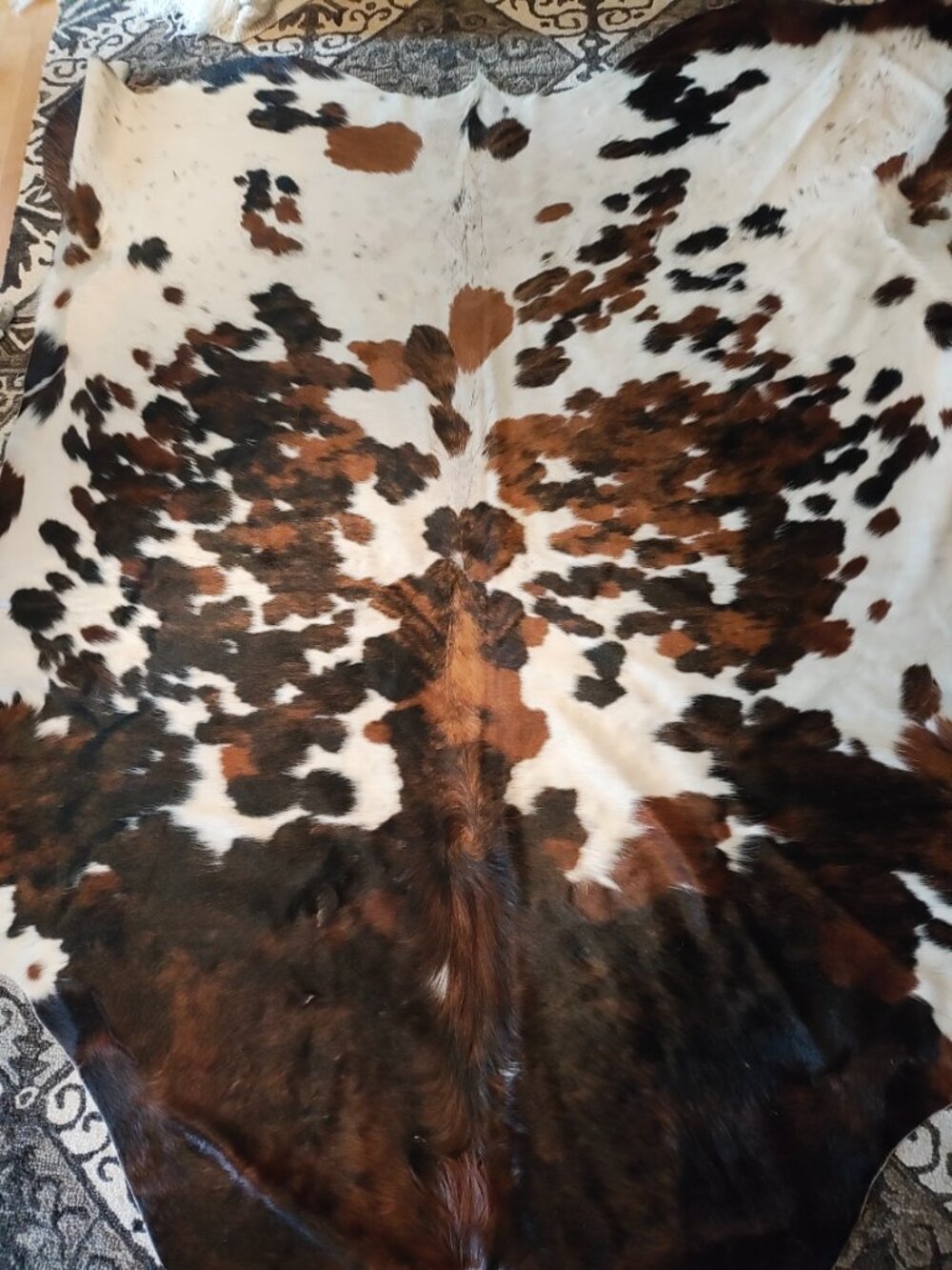 Cow Hide - Picture 4 of 5
